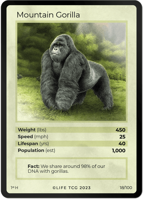 Mammals