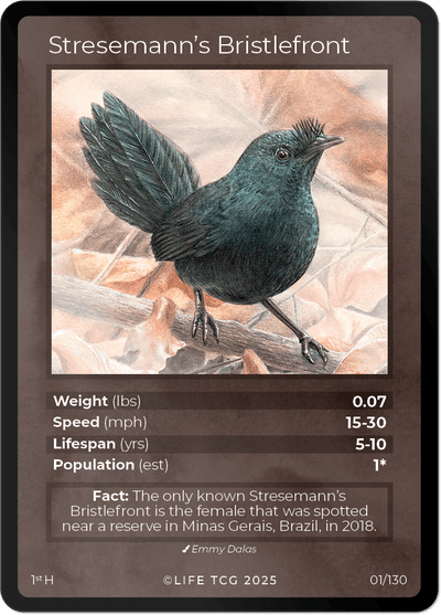Stresemann's Bristlefront