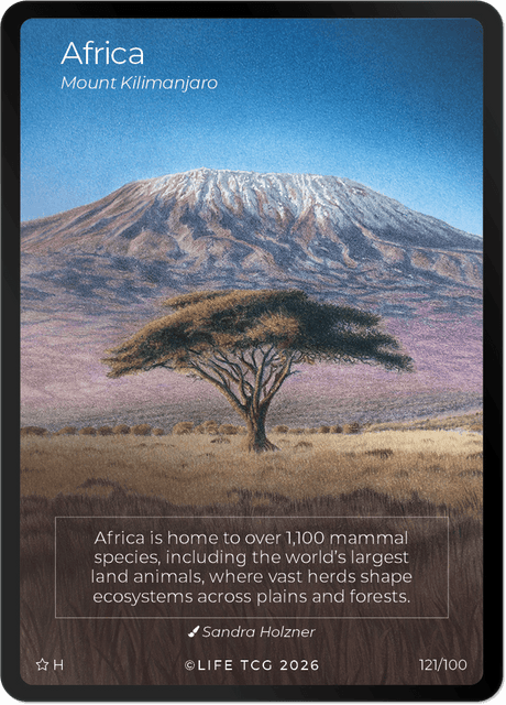 Holo Special Edition Africa.png