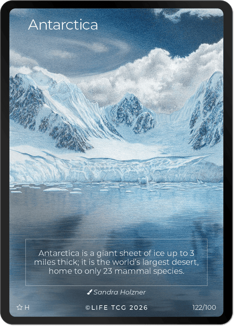 Holo Special Edition Antarctica.png