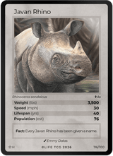 Holo Javan Rhino