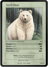 Holo Spirit Bear