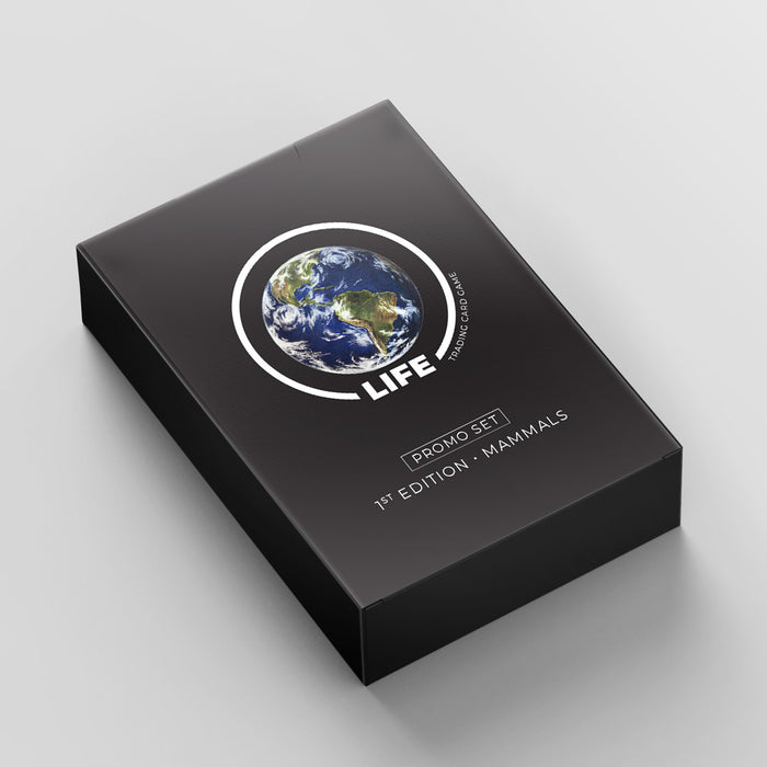 1st Edition Promo Box