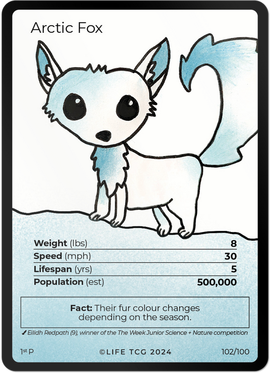 Cards 1