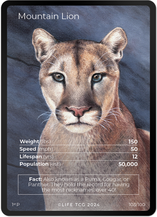 Cards 2