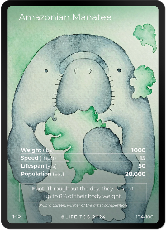 Cards 3