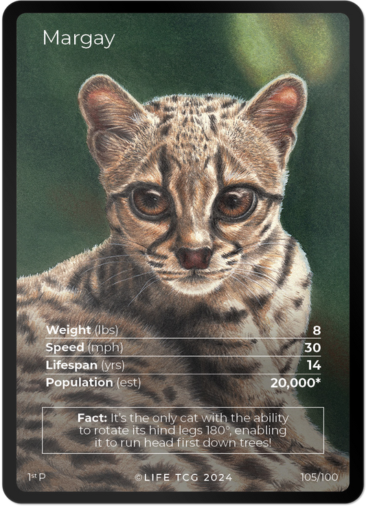 Cards 4