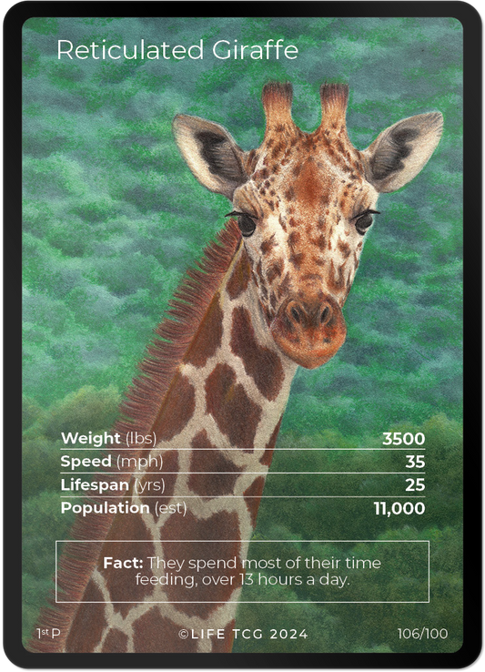 Cards 5
