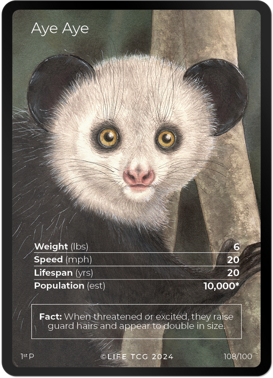 Cards 7