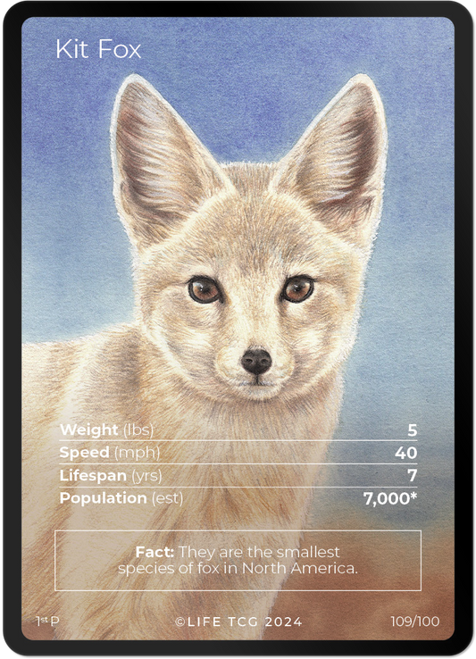 Cards 8