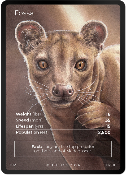Cards 9