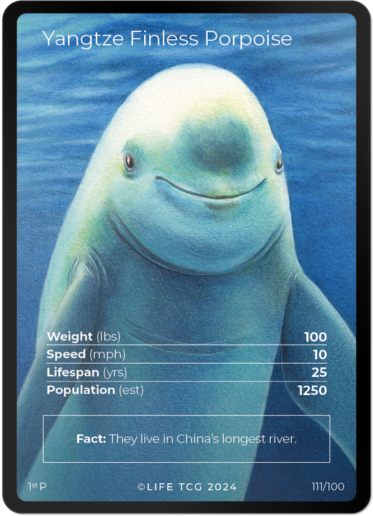 Cards 10
