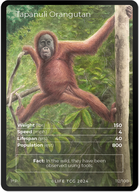 Cards 11