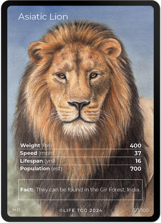 Cards 12