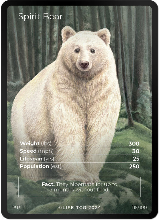 Cards 14