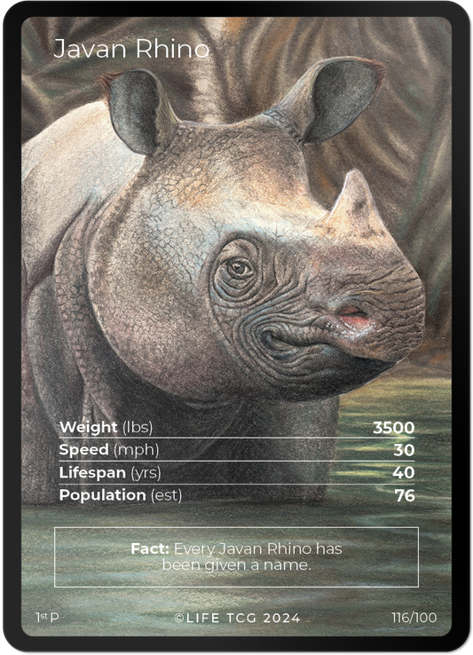 Cards 15