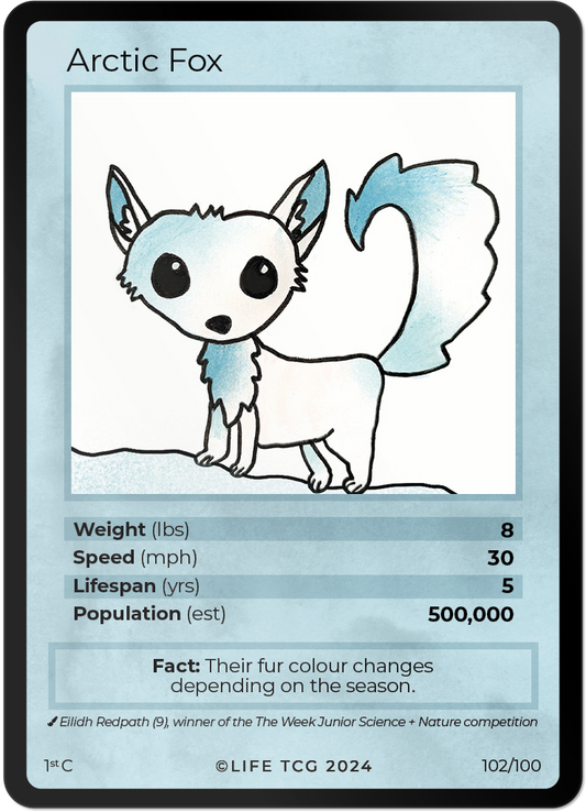 Cards 17