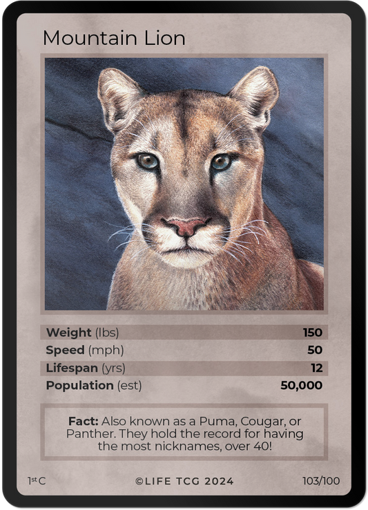 Cards 18