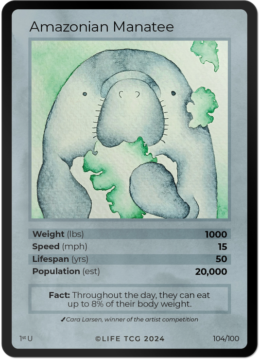 Cards 19