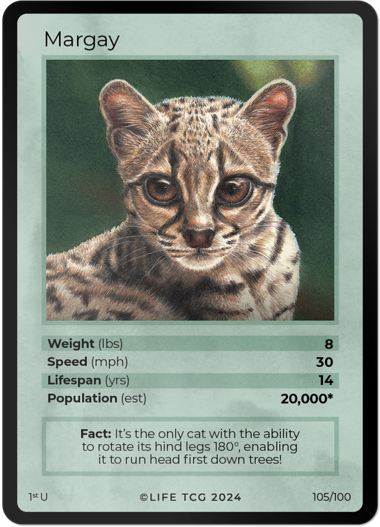 Cards 20