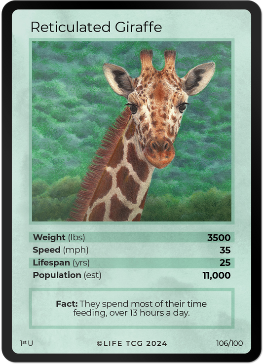 Cards 21
