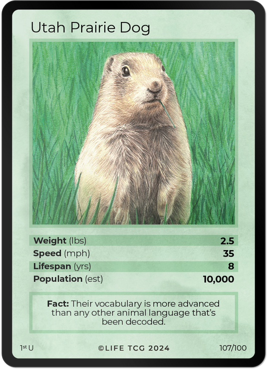 Cards 22