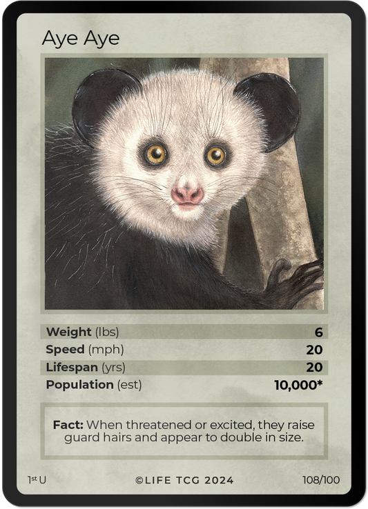 Cards 23
