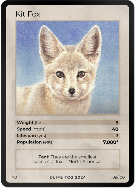 Cards 24