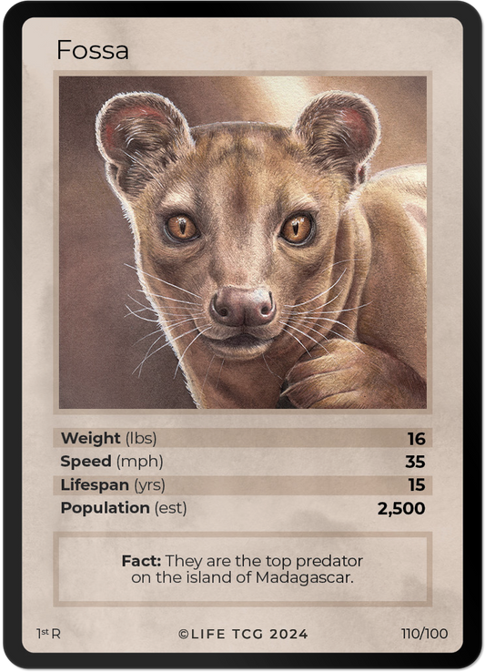 Cards 25