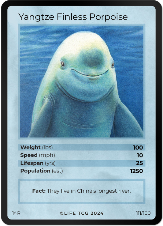 Cards 26