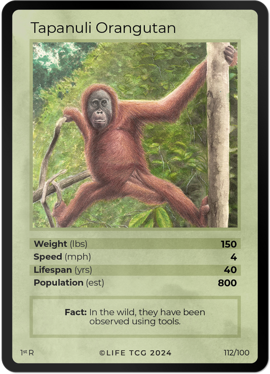 Cards 27