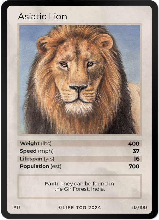 Cards 28
