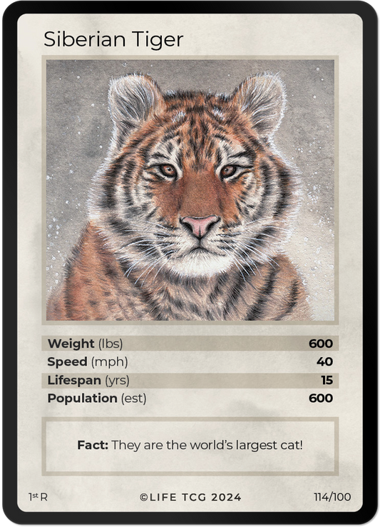 Cards 29