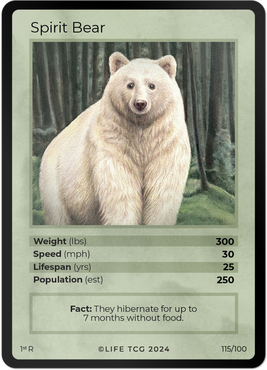 Cards 30