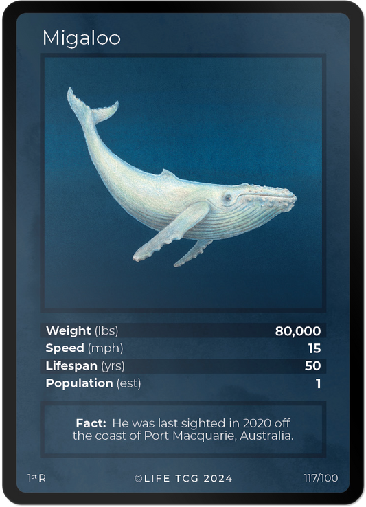 Cards 32
