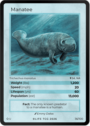 SE Uncommon